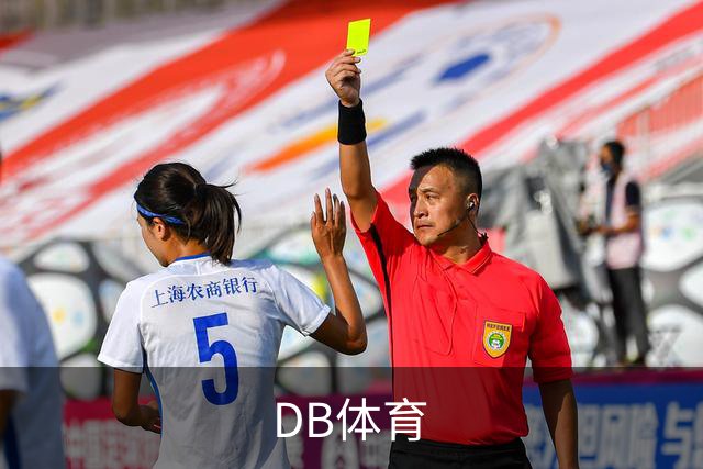 DB体育公司简介配图